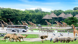 Safari world Bangkok Thailand