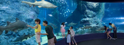 Siam Ocean World Bangkok Thailand
